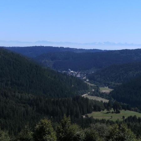 Haus Aretz Lägenhet Feldberg  Exteriör bild